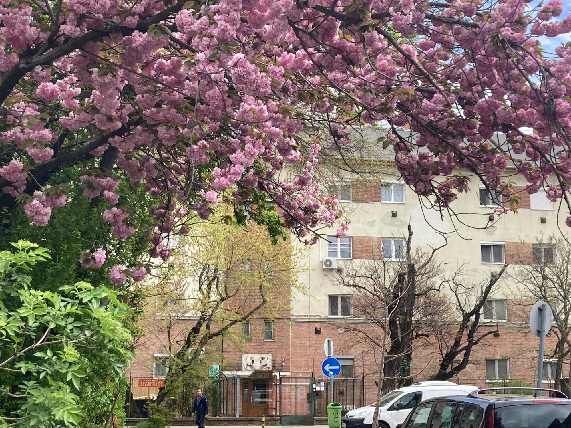 Poppy Flower Apartment Budapeste Exterior foto