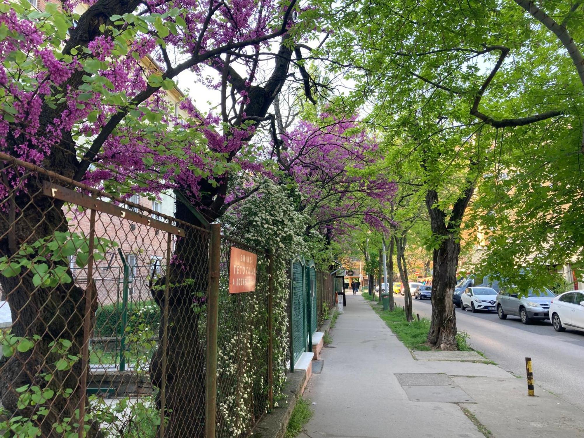 Poppy Flower Apartment Budapeste Exterior foto